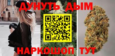 гашик Будённовск