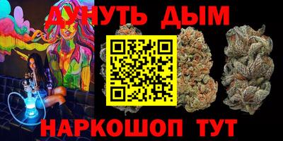 гашик Будённовск