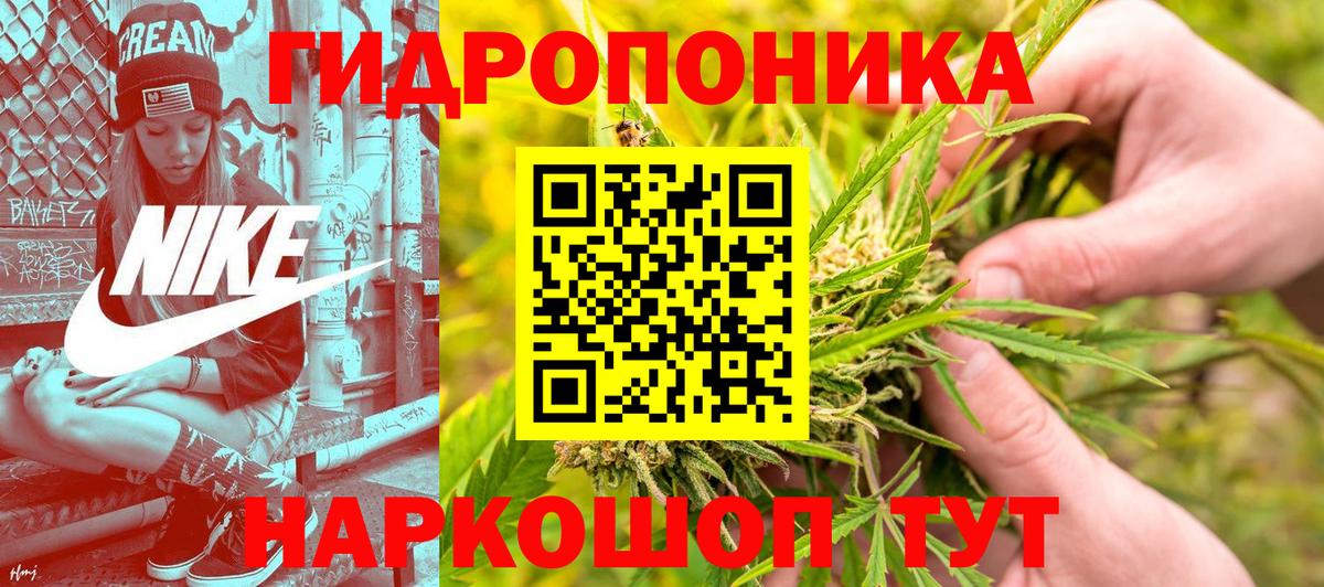 Шишки марихуана Bruce Banner  Бошки марихуана план  Бошки Шишки MAZAR  Вход с VPN  Волоколамск  Конопля VHQ 